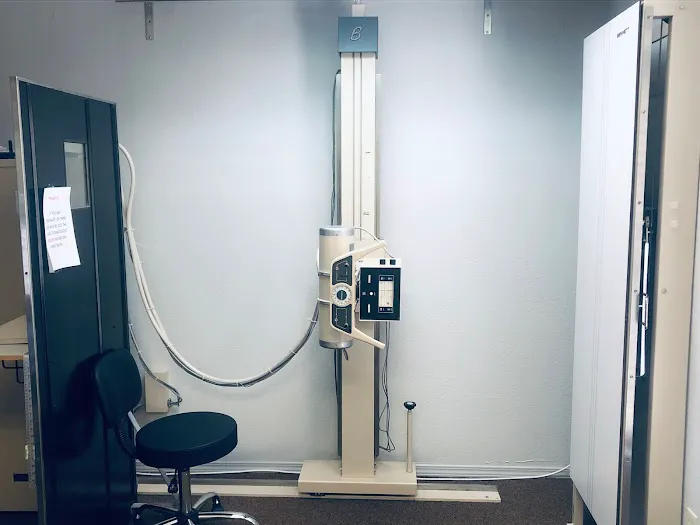 Graddy Chiropractic Picture 7