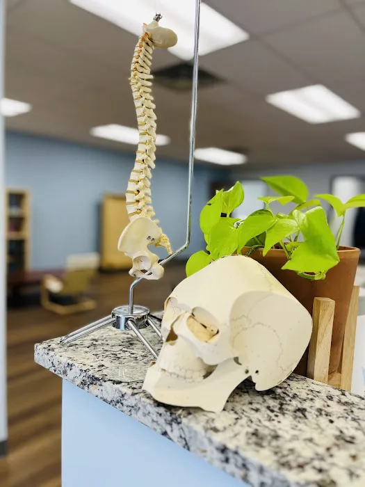 Tulsa Spine and Wellness Picture 5