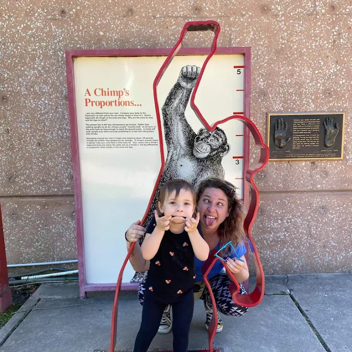 The Joint Chiropractic Picture 8