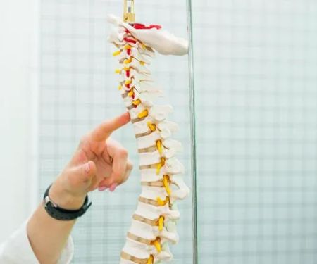 Dr. Carla Family Chiropractic