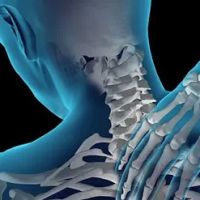Alliance Chiropractic ico