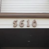 Bergman Chiropractic ico