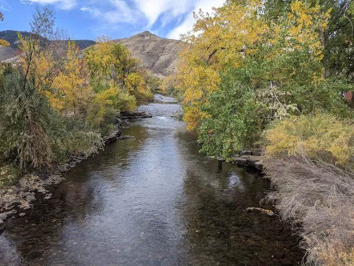 Robinson Matthew D DC Picture 4