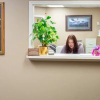 Chiropractic Doctors Inc. ico