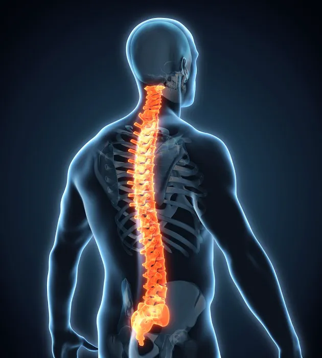 ChiroConcepts Picture 2