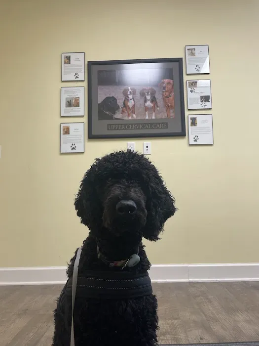 Bixby Animal Chiropractic Picture 2