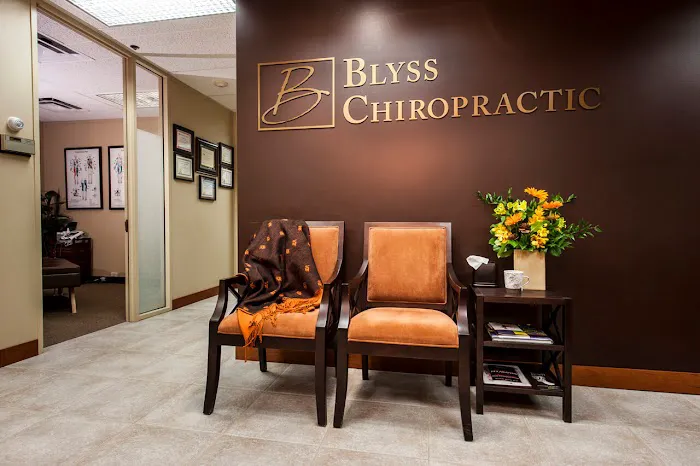 Blyss Chiropractic Picture 1