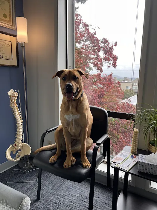 Polaris Collective Wellness Picture 1