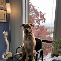 Polaris Collective Wellness ico