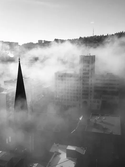 Portland Chiropractic Picture 8