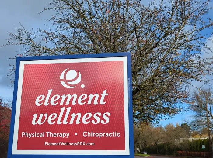 Element Wellness & Sports Rehabilitation Picture 6