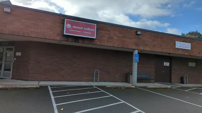 Element Wellness & Sports Rehabilitation Picture 2