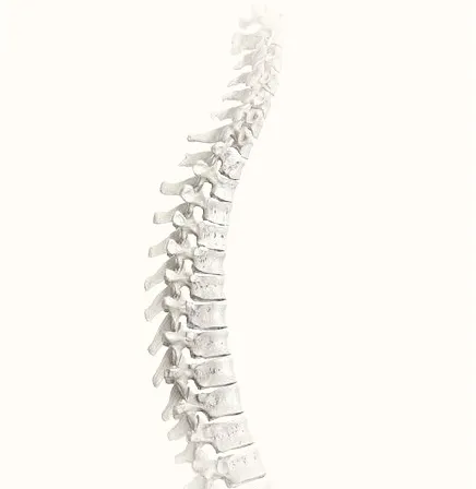Haugh Chiropractic & Massage Picture 2