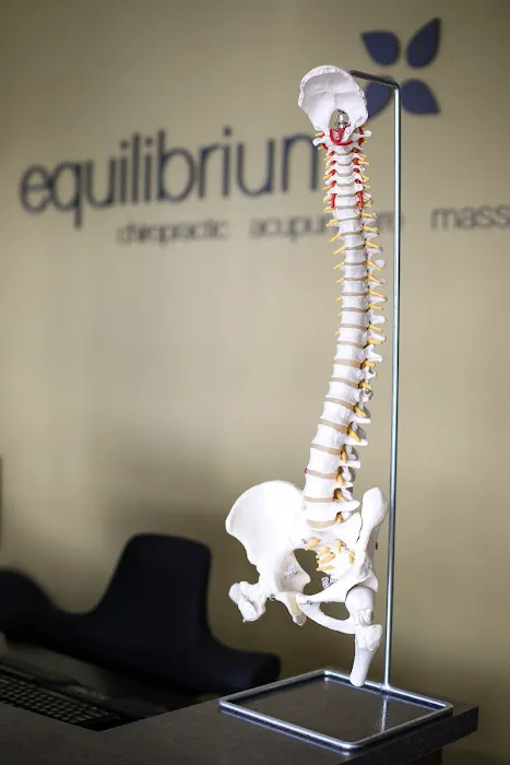 Equilibrium Chiropractic, Acupuncture, and Massage Picture 1