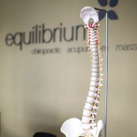 Equilibrium Chiropractic, Acupuncture, and Massage ico