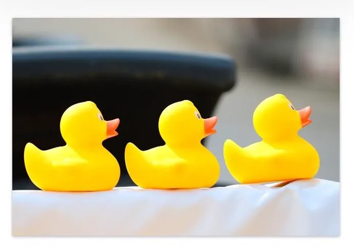 Dr. Judith Boothby DC Picture 3