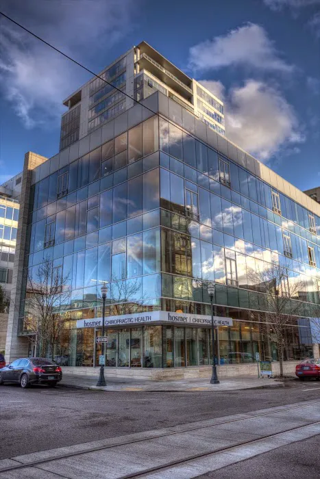 Hosmer Chiropractic Health | Pearl District Picture 7