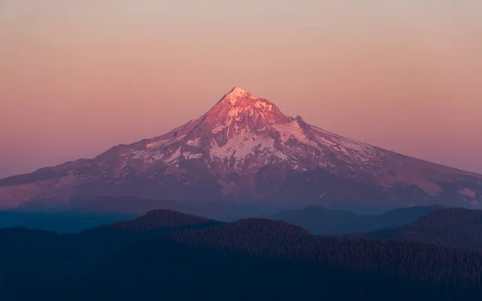 Alive Chiropractic & Rehabilitation Picture 1