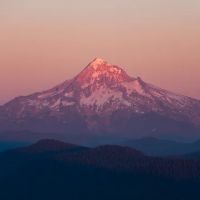 Alive Chiropractic & Rehabilitation ico