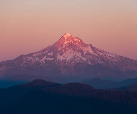 Alive Chiropractic & Rehabilitation