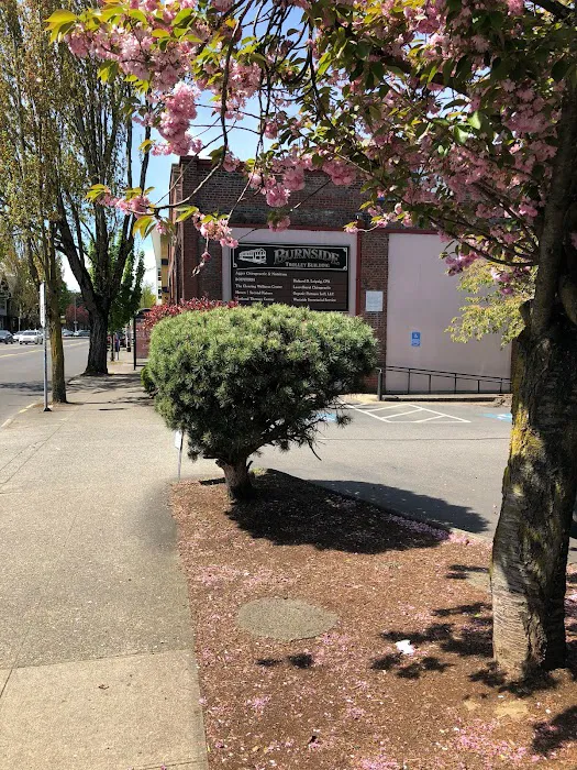 Laurelhurst Chiropractic Picture 4