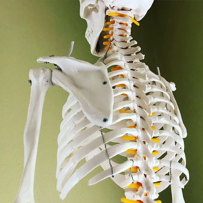 Dr. Caroleigh Elliott, Moreland Chiropractic Picture 5