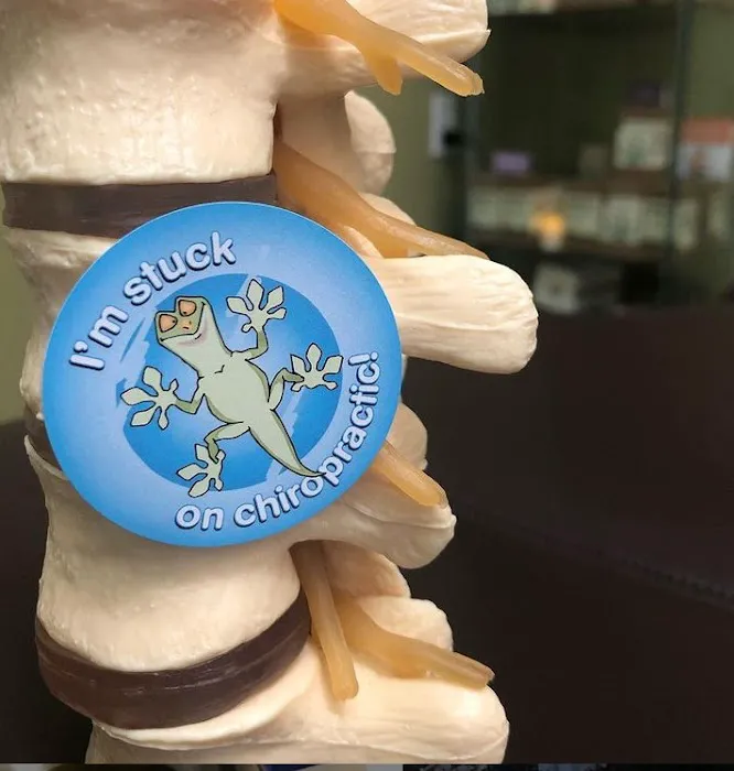 Dr. Caroleigh Elliott, Moreland Chiropractic Picture 6