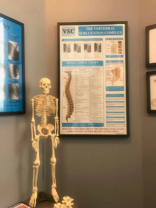 120 Chiropractic Inc Picture 1