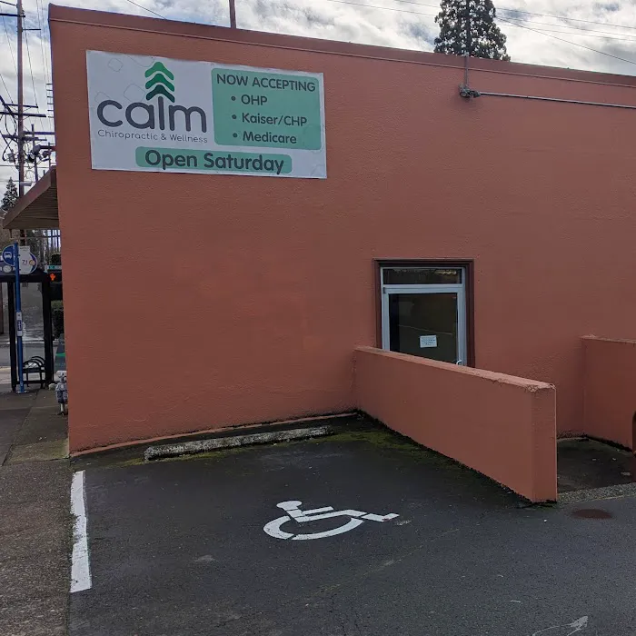 Calm Chiropractic and Wellness Picture 3