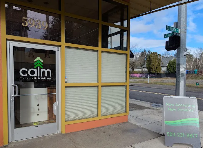 Calm Chiropractic and Wellness Picture 6