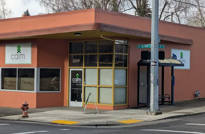 Calm Chiropractic and Wellness Picture 1