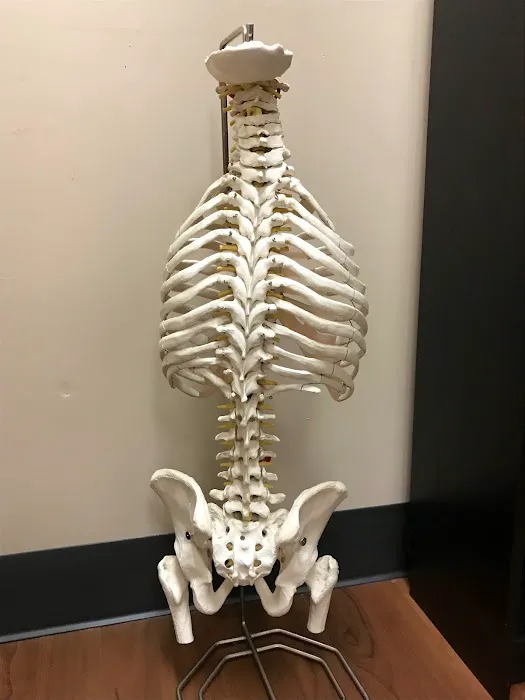 Neighborhood Chiropractic and Acupuncture Picture 6