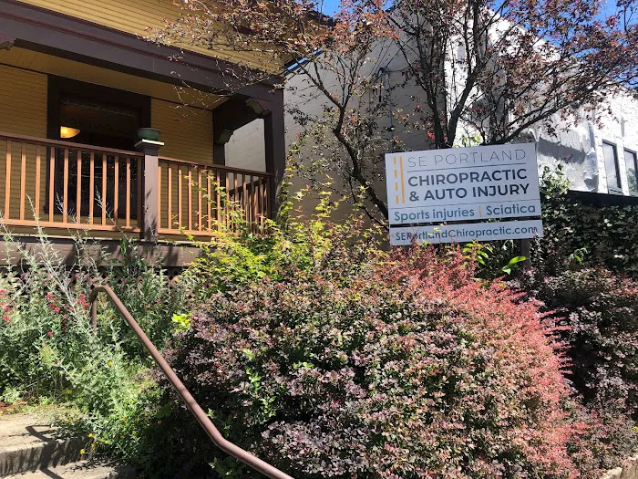 Belmont Chiropractic/Be Well Holistic Health Picture 7