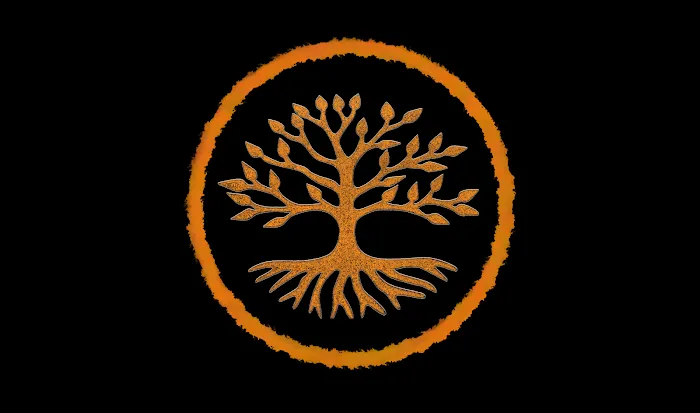 Tu Casa Chiropractic Picture 1