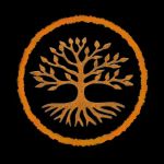 Tu Casa Chiropractic