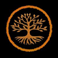 Tu Casa Chiropractic ico