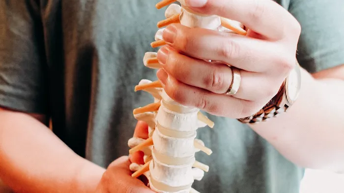 Rooted Chiropractic Picture 4