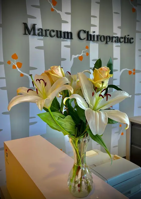 Marcum Chiropractic Clinic Picture 2