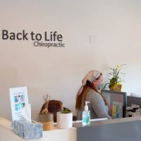 Back To Life Chiropractic ico