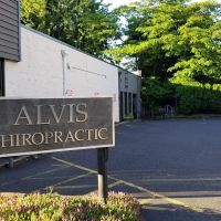 ALVIS Chiropractic ico