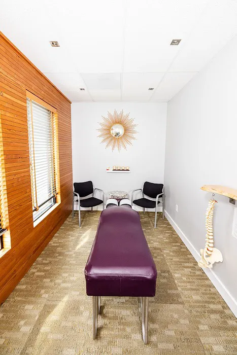ALVIS Chiropractic Picture 5
