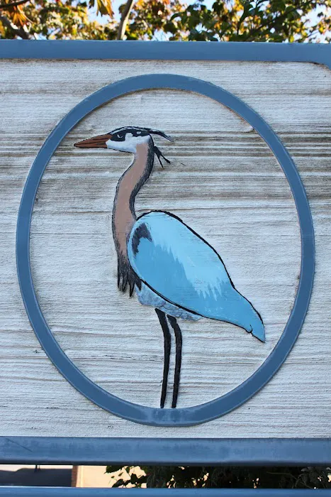 Blue Heron Chiropractic Picture 4