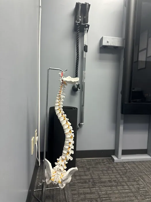 Chiropractic Art & Science Picture 9
