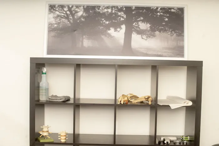 Renew Chiropractic, Dr. Marcus J Dorsey, DC Picture 5