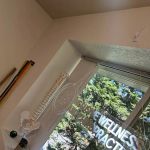 Inclusive wellness and Chiropractic