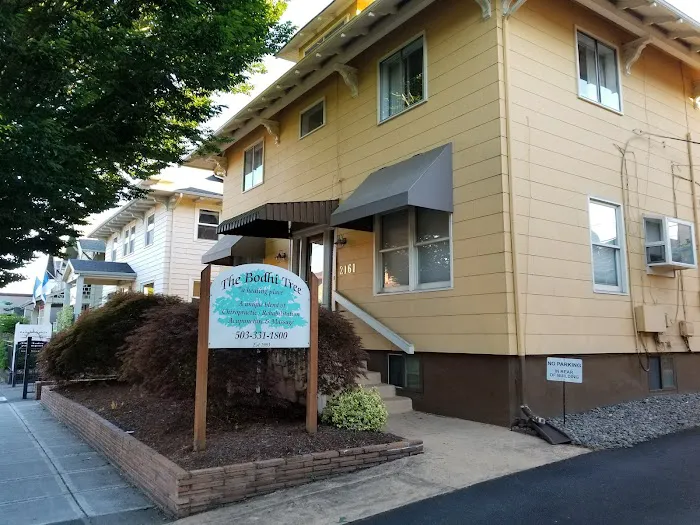 Vibrant Health PDX (Formerly The Bodhi Tree Clinic) Picture 10
