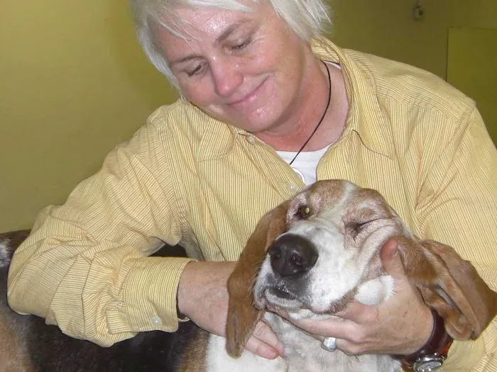 Animal Chiropractic Picture 4