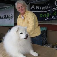 Animal Chiropractic ico