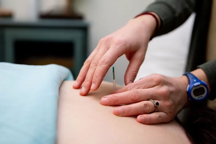 Jewell Chiropractic & Wellness Tigard Picture 3