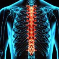 BeWell Chiropractic ico